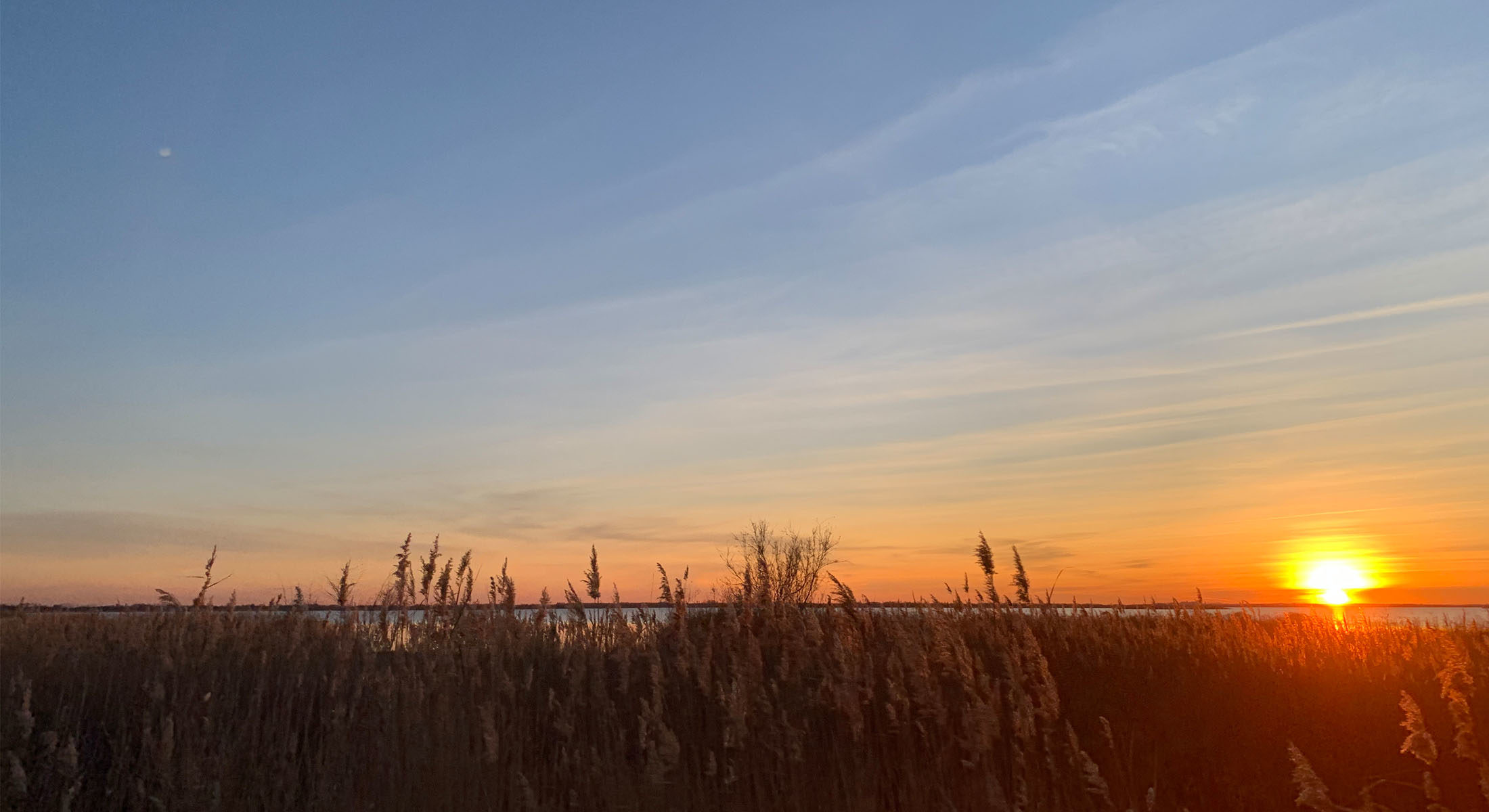 ResidHotel - Visitez la Camargue avec Pierrot le Camarguais